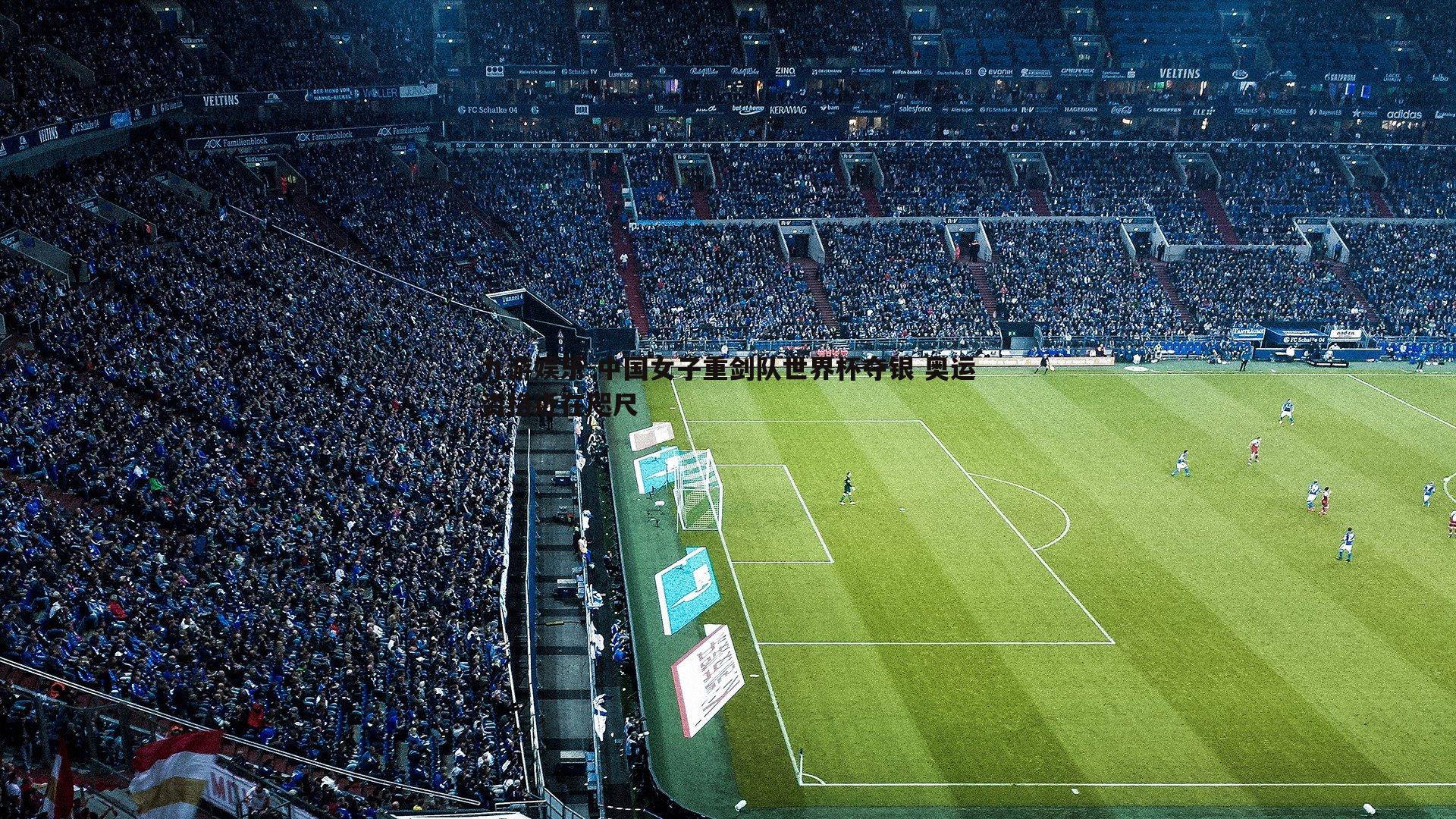 中国女子重剑队世界杯夺银 奥运资格近在咫尺